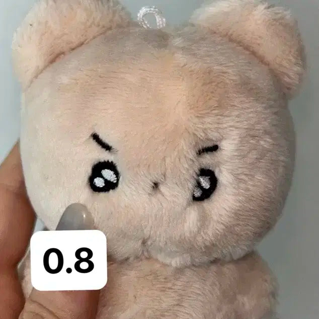 횬도리 인형 10cm 더보이즈 현재 팔아용