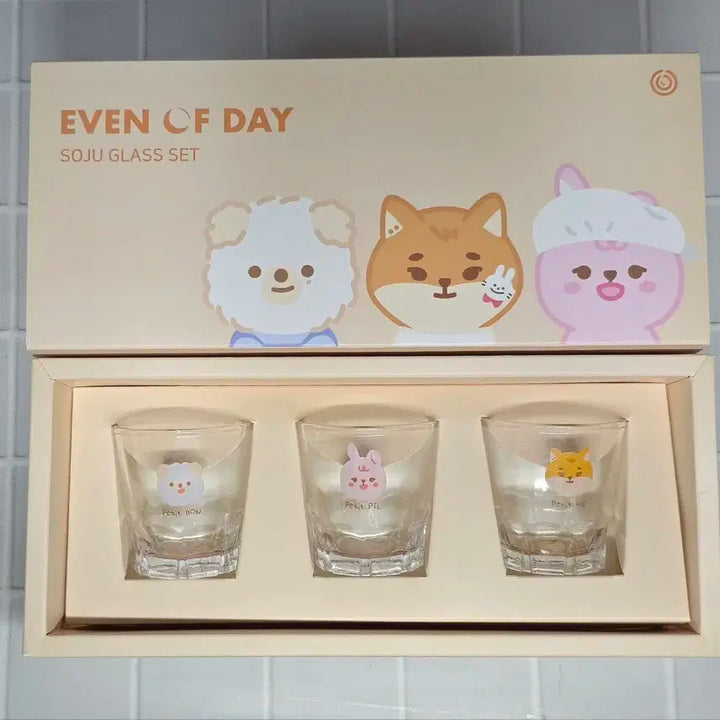 데이식스 소주잔 세트 day6 even of day soju glass