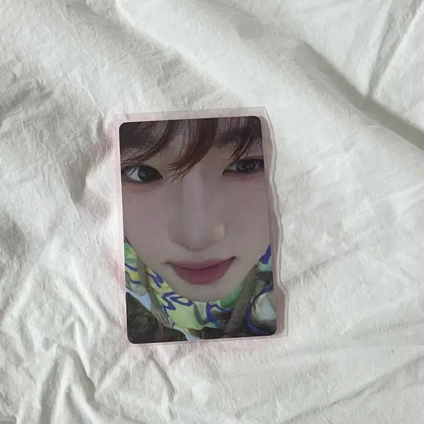 컬러 포토북 사쿠야 엔위시 엔시티위시 포카 포토카드