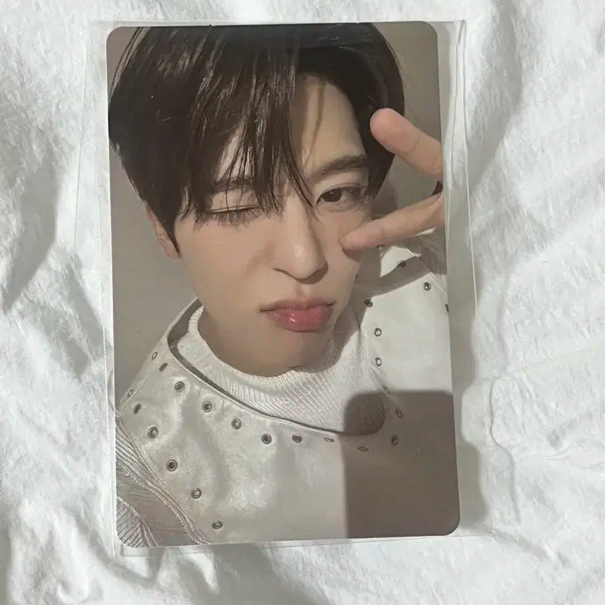 오시온 컬러 쇼케 특전 시온 엔위시 엔시티 포카 포토카드