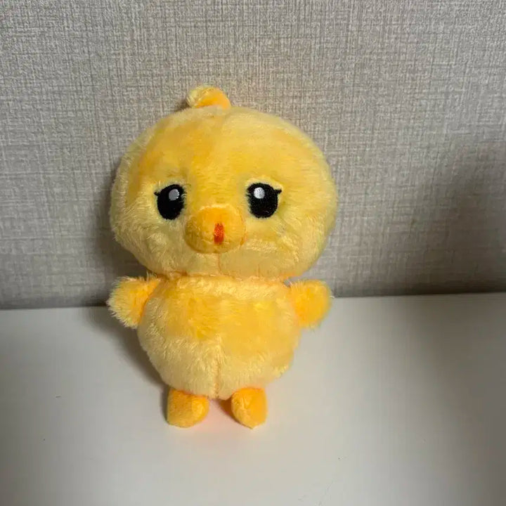 엔시티 nct 127 정우 댕궁이 양도합니다