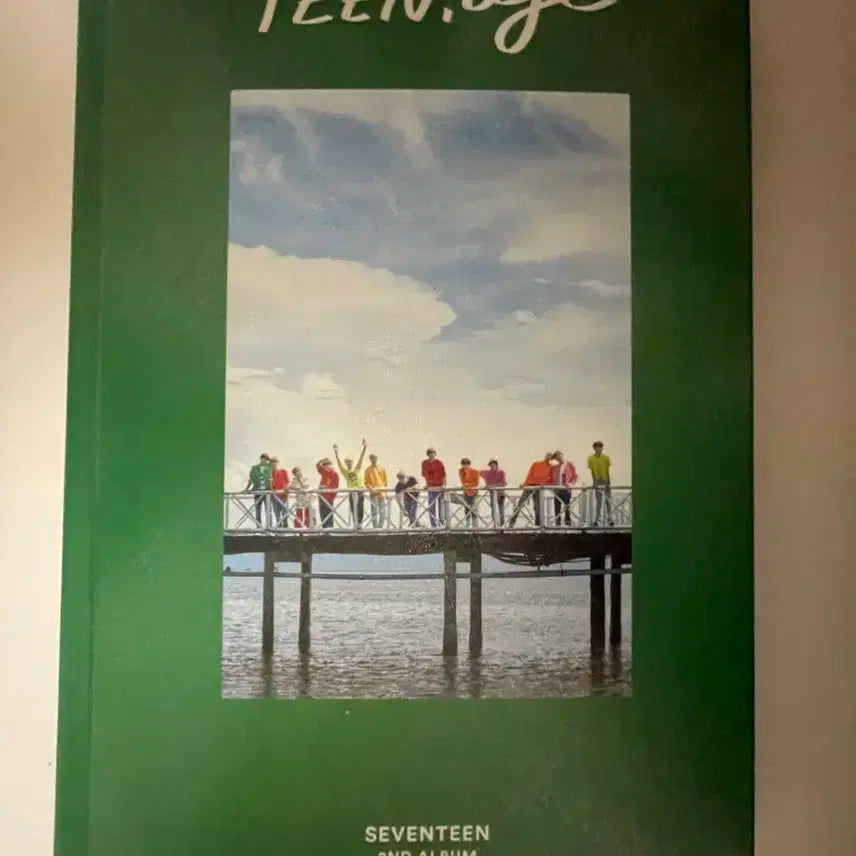 세븐틴 틴에이지 개봉 앨범