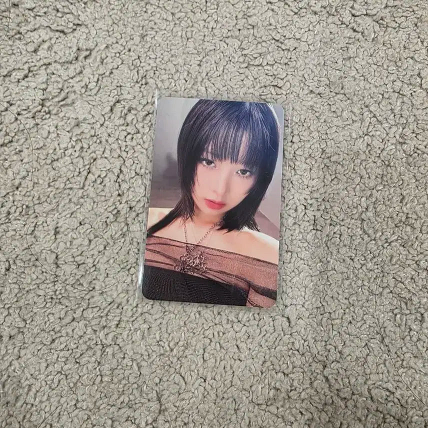 아이브 레이 포토카드 앨포 판매