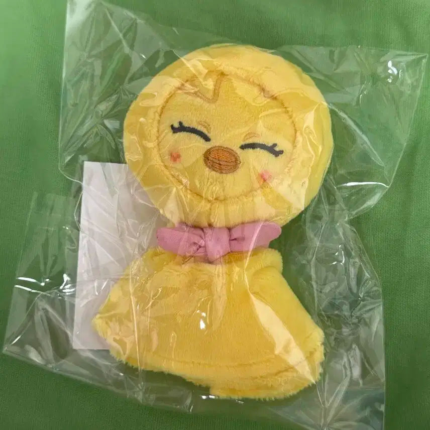 스키주 테루테루 뽁아리