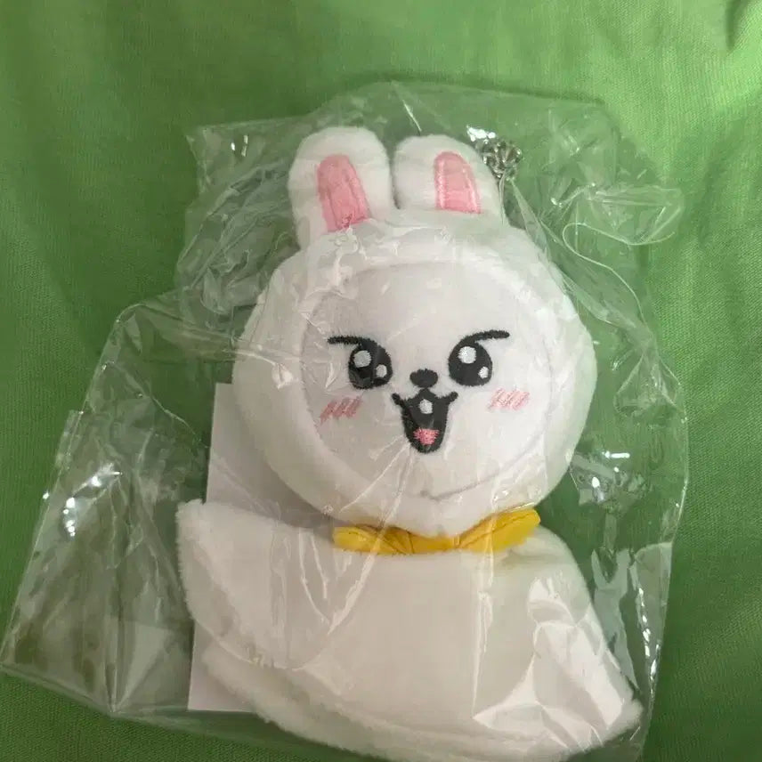 스키즈 스키주 테루테루 리빗