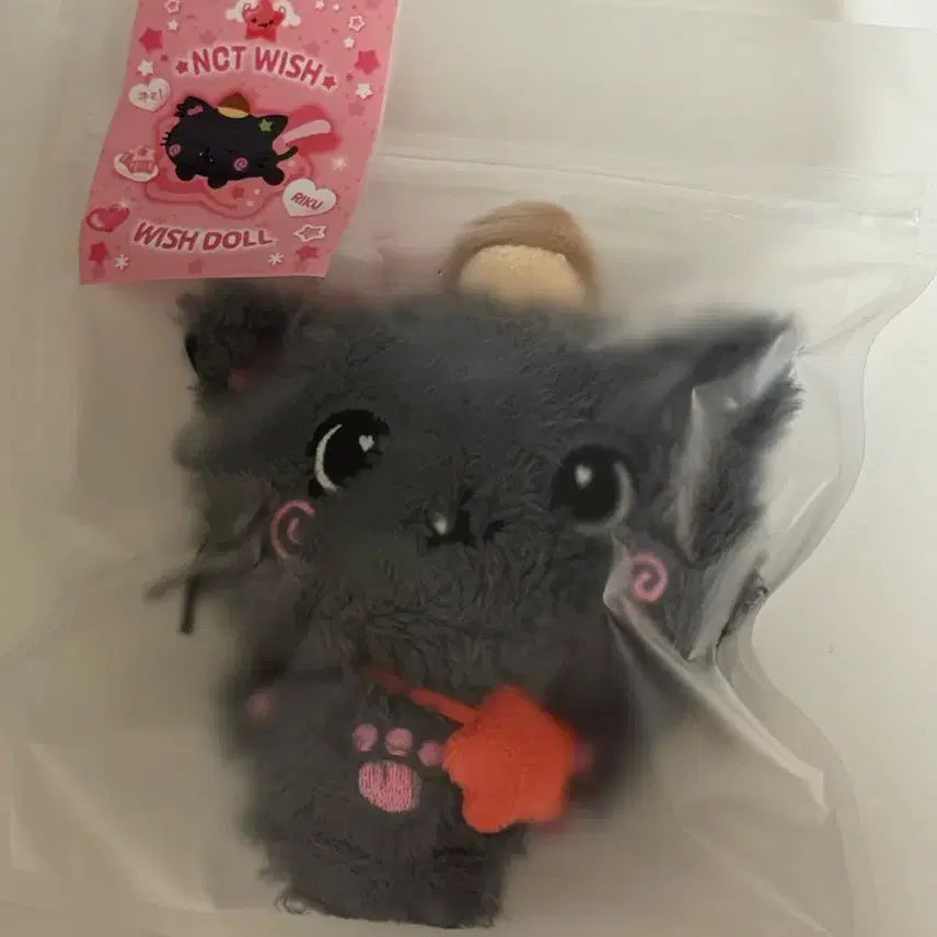 엔시티 위시 위시돌 쿠리