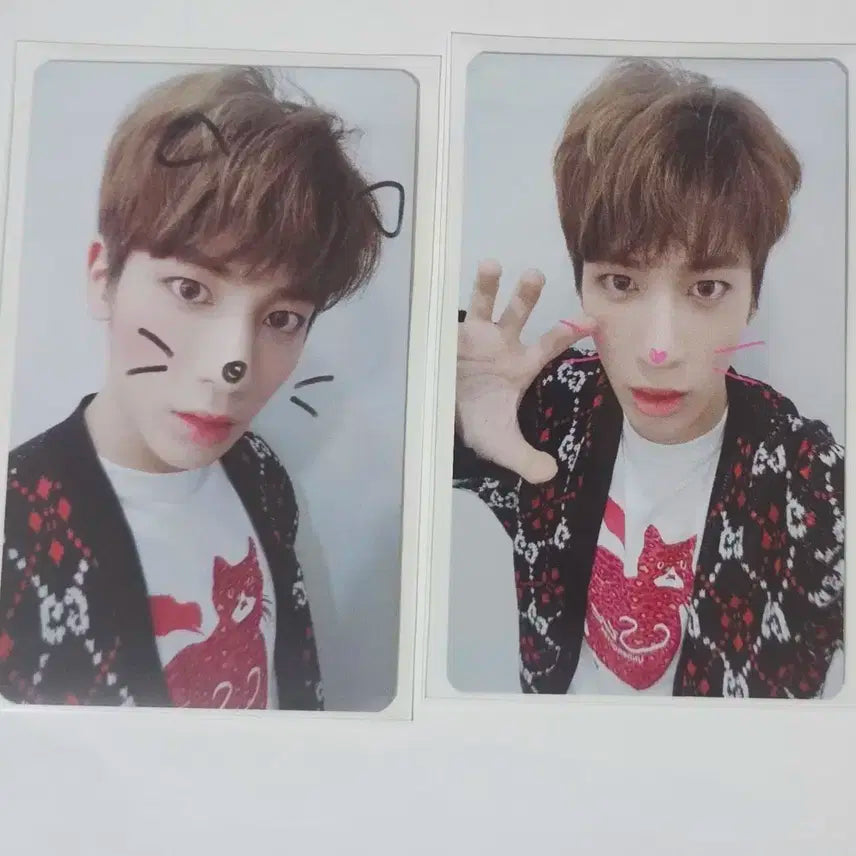 투모로우바이투게더 캣앤독 공방포카 태현 일괄