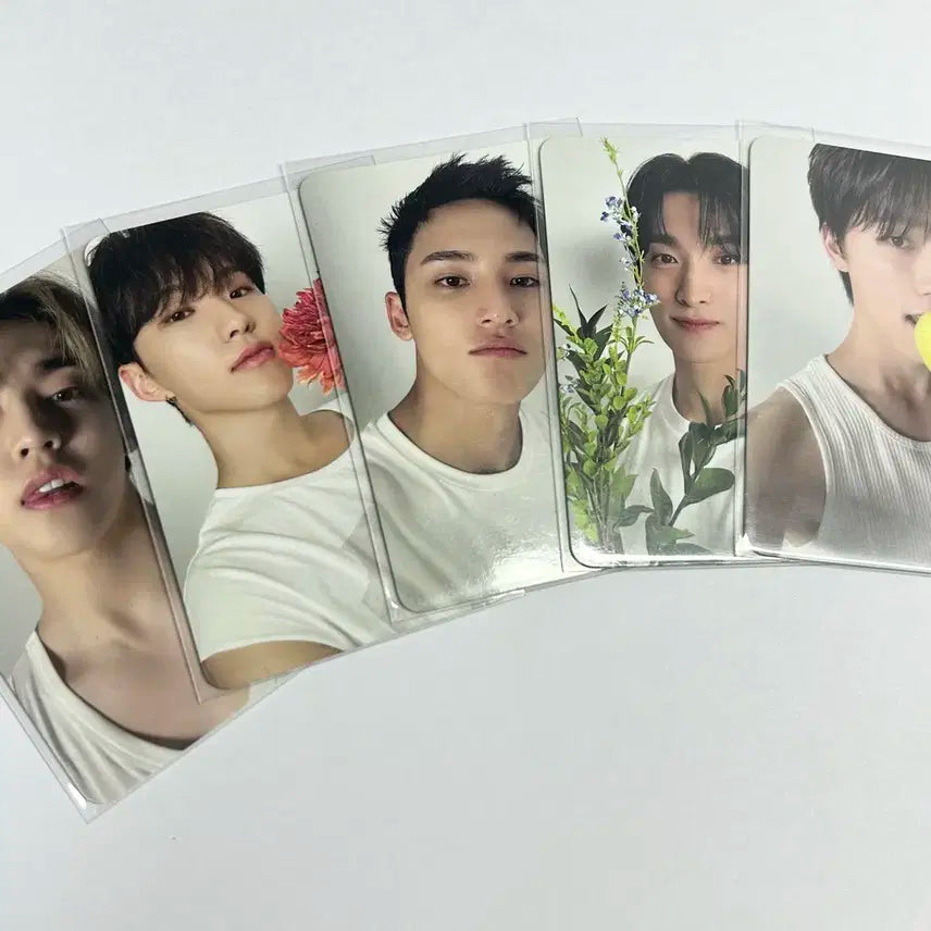 세븐틴 디어버전 랜포 일괄 양도