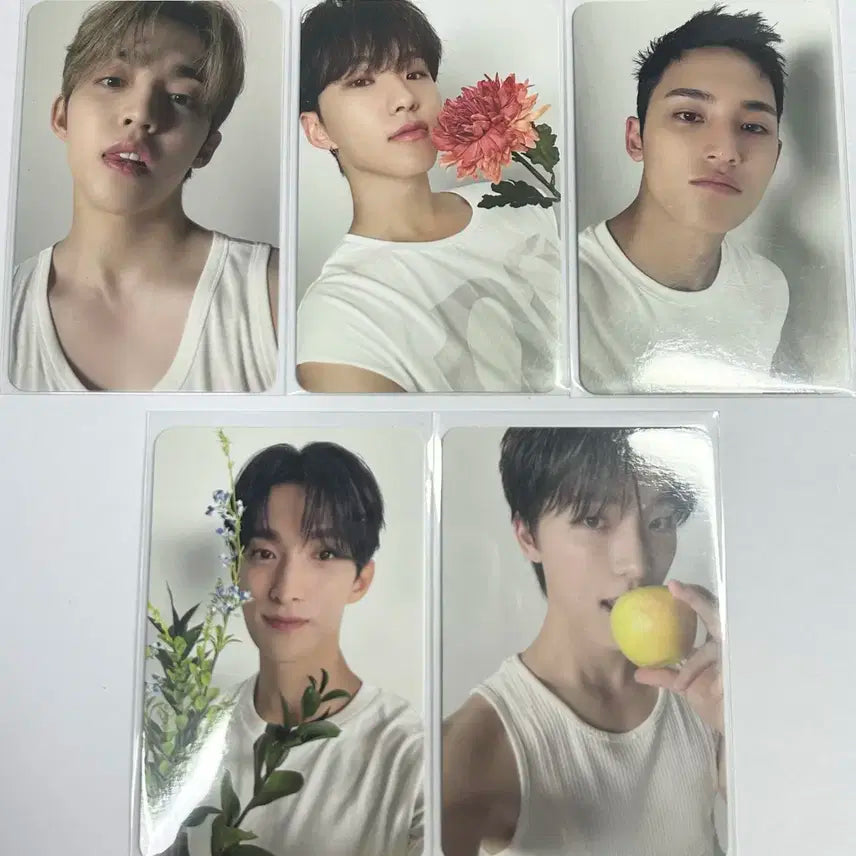 세븐틴 디어버전 랜포 일괄 양도