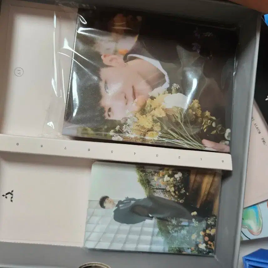 Fml 캐럿반 호시