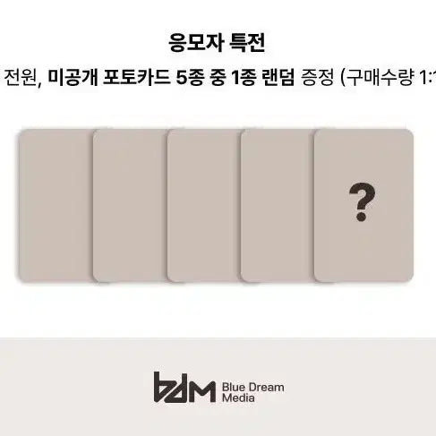 코르티스 블드미 미공포 양도