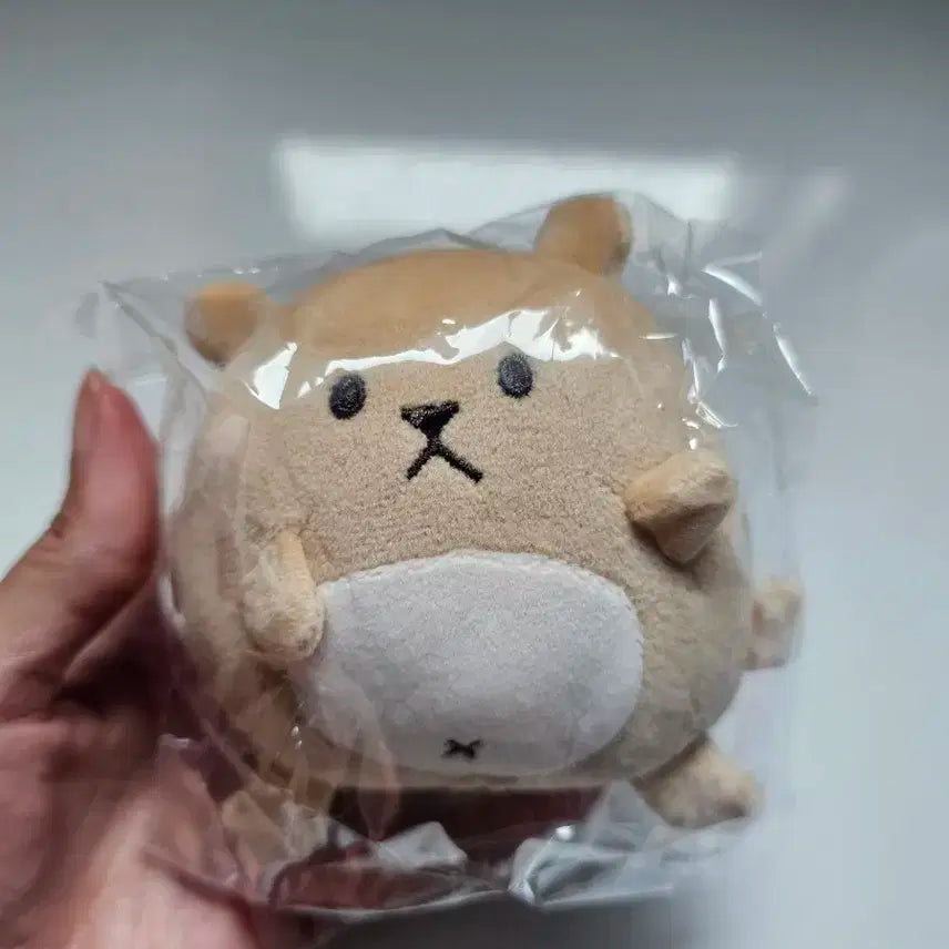 쫑득이 10cm 엑소 카이 인형 미개봉 EXO KAI