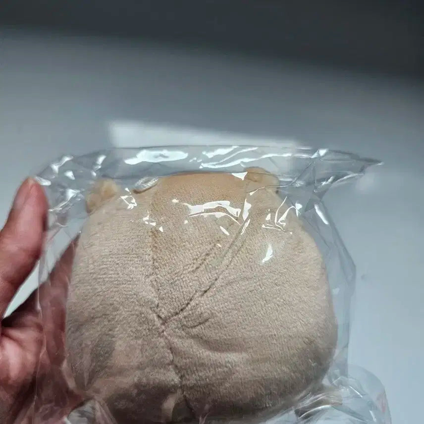 쫑득이 10cm 엑소 카이 인형 미개봉 EXO KAI