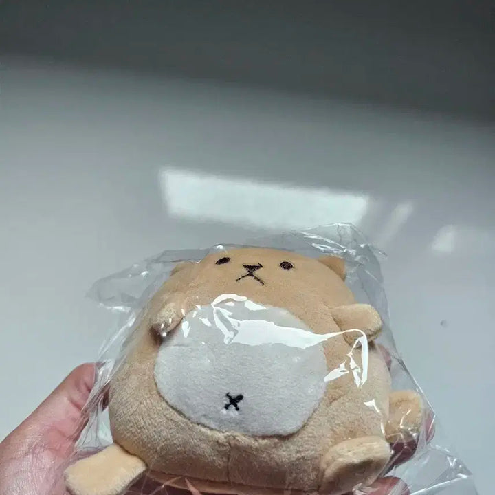 쫑득이 10cm 엑소 카이 인형 미개봉 EXO KAI