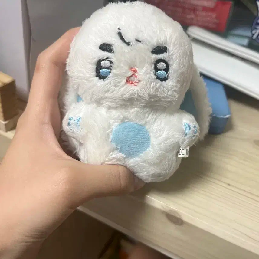 애스쿱스 인형 판매 합니다