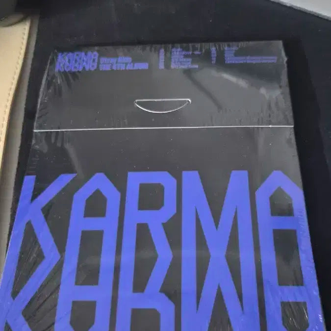 스트레이키즈 펠릭스 알라딘 특전 포토카드 앨범포함