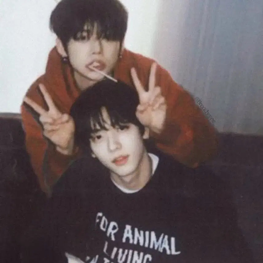 투바투 투모로우바이투게더 모아존 엑트프로미스 프미콘 모아존수빈 양도