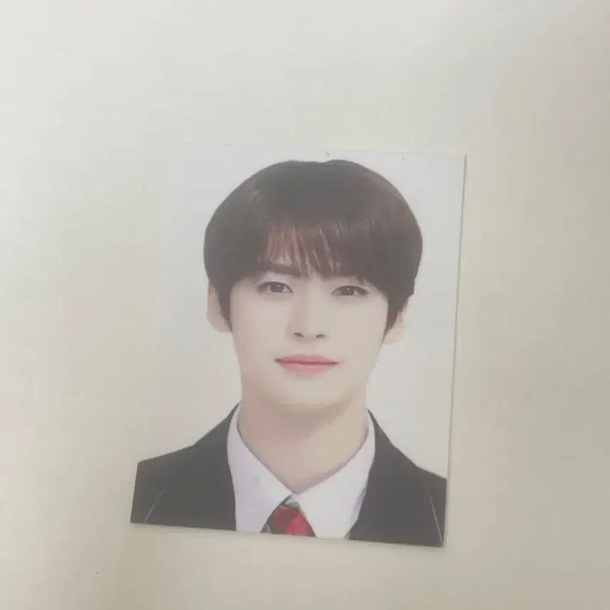 스키즈 리노 이민호 증명사진 증사 스트레이키즈 학생증 6장