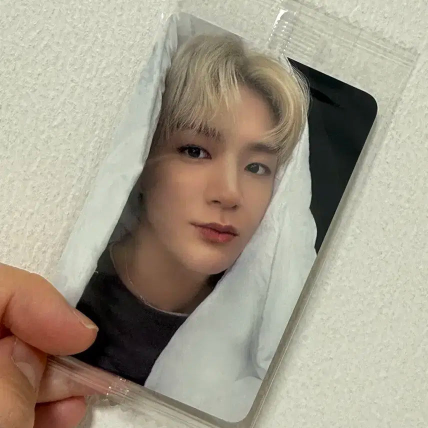 bttf 이불제노