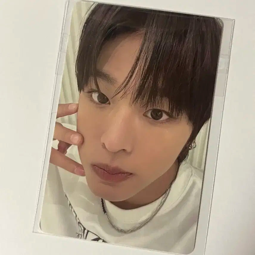 급처 엔시티위시 컬러 리쿠 무신사 단독 특전 포카 판매