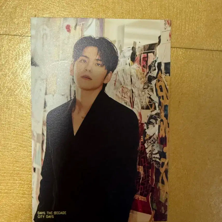 데이식스 더 데케이드 포스트카드 양도(시티 버전 원필)