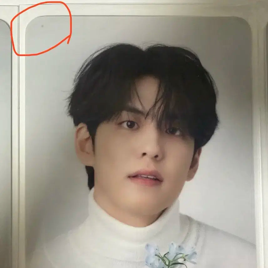 데이식스 원필 필모그래피 콜렉트북 포카 일괄