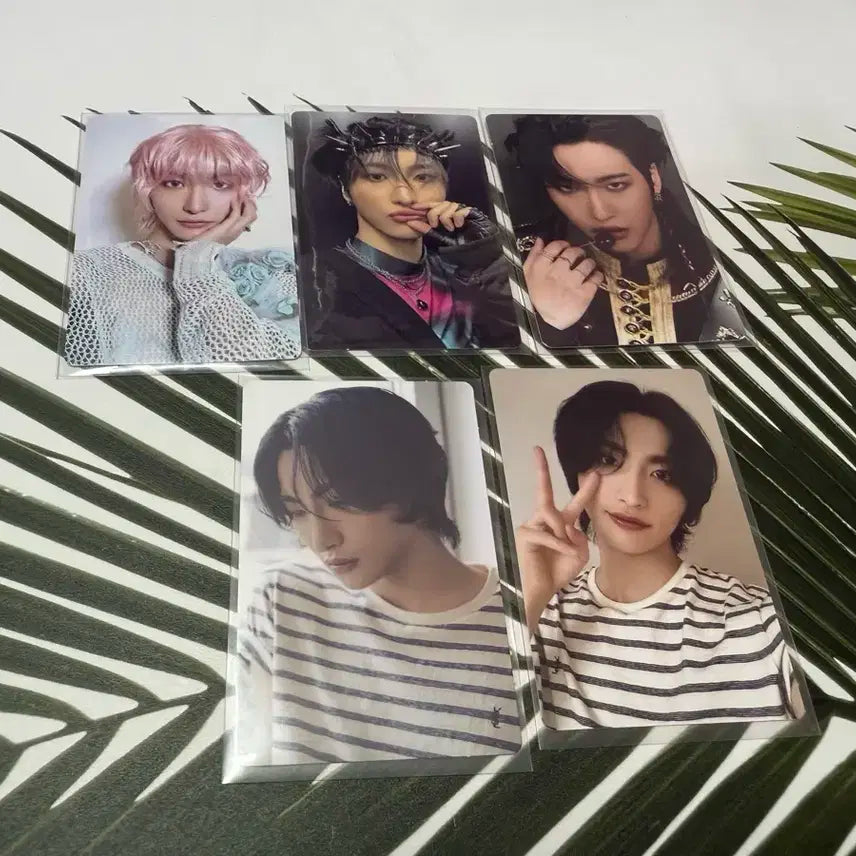 에이티즈 포카 양도