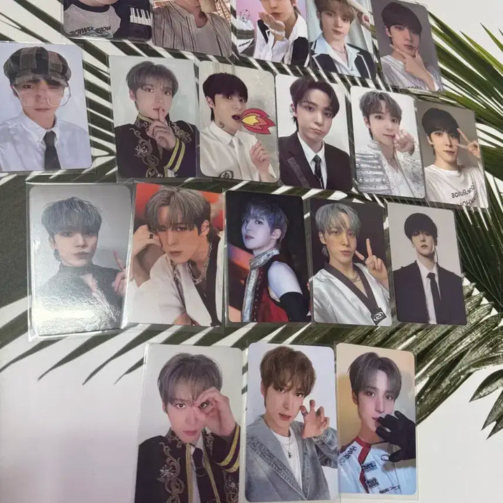 에이티즈 포카 양도