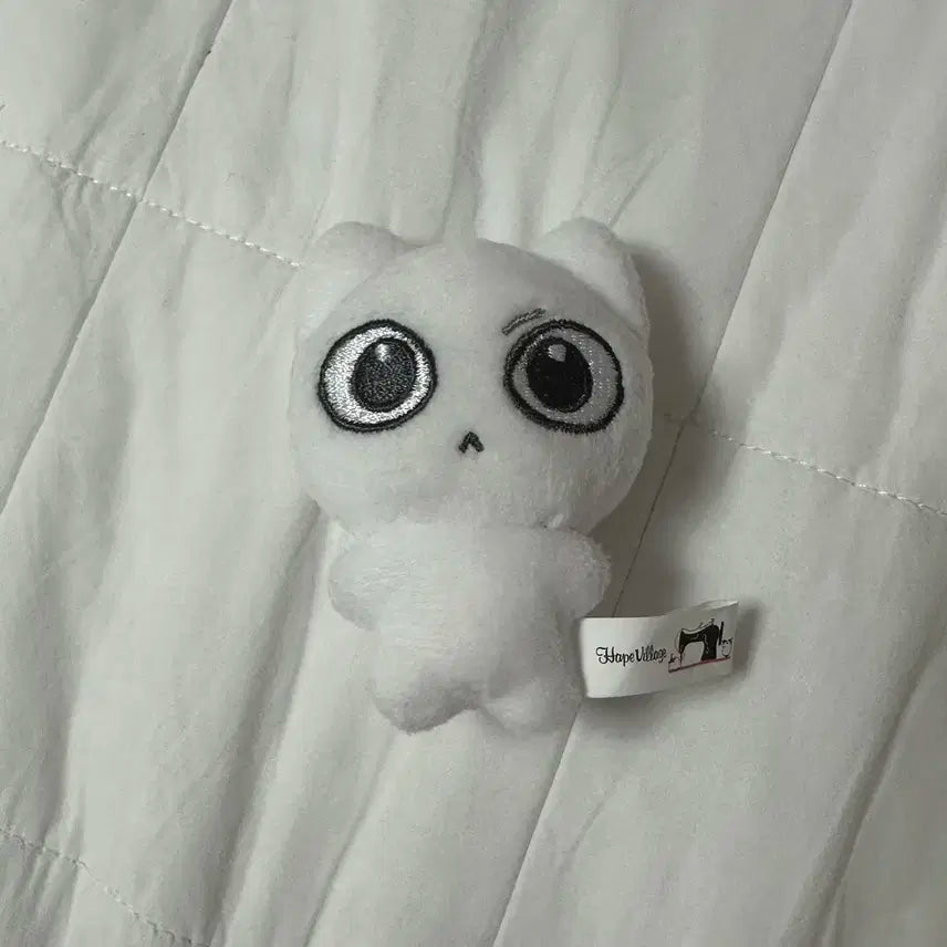 택포)) 보넥도 성호 예삐냥 양도해요!!