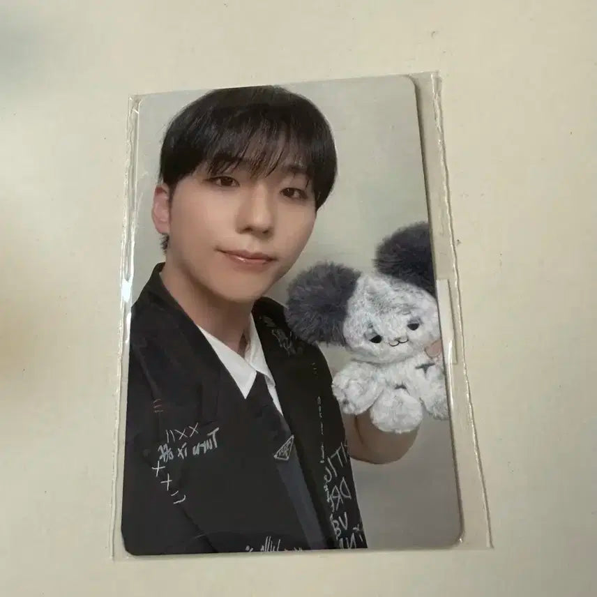 엑디즈 뷰마콘 온라인 엠디 포카 양도