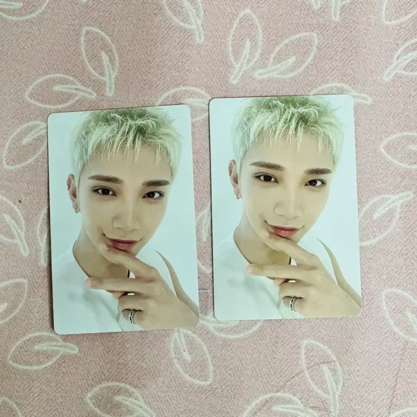 세븐틴 트레카 슈아 셀포 양도