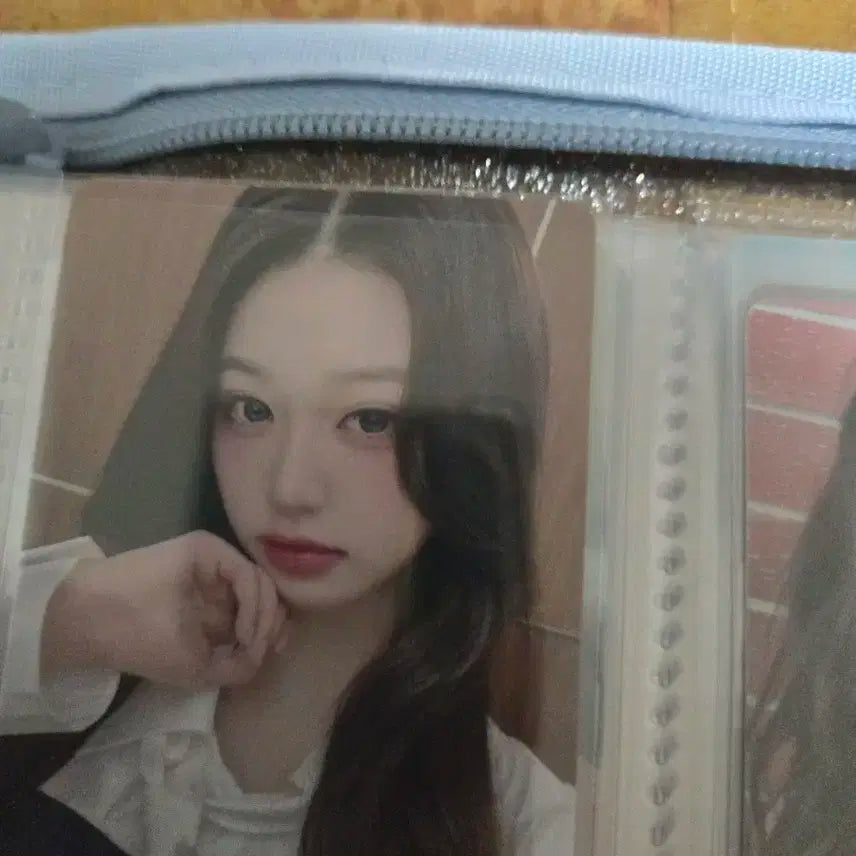 아이브 비올라잇 원영양도합니다