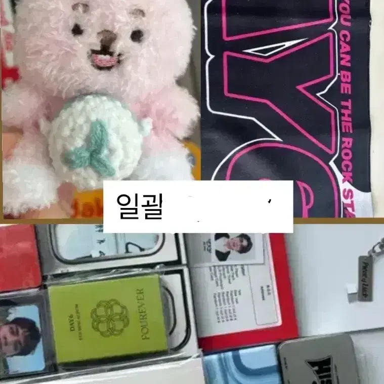 데이식스 일괄