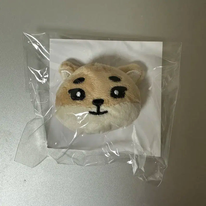 데이식스 요코하마 일본 굿즈 뱃지 케 영케이