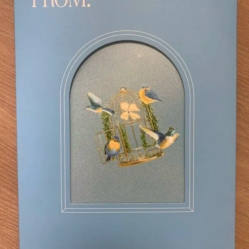 루시 프롬 개봉앨범