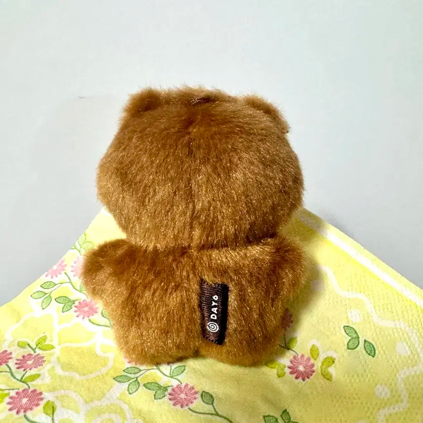 데이식스 데니멀즈 데멀 방 성진 인형