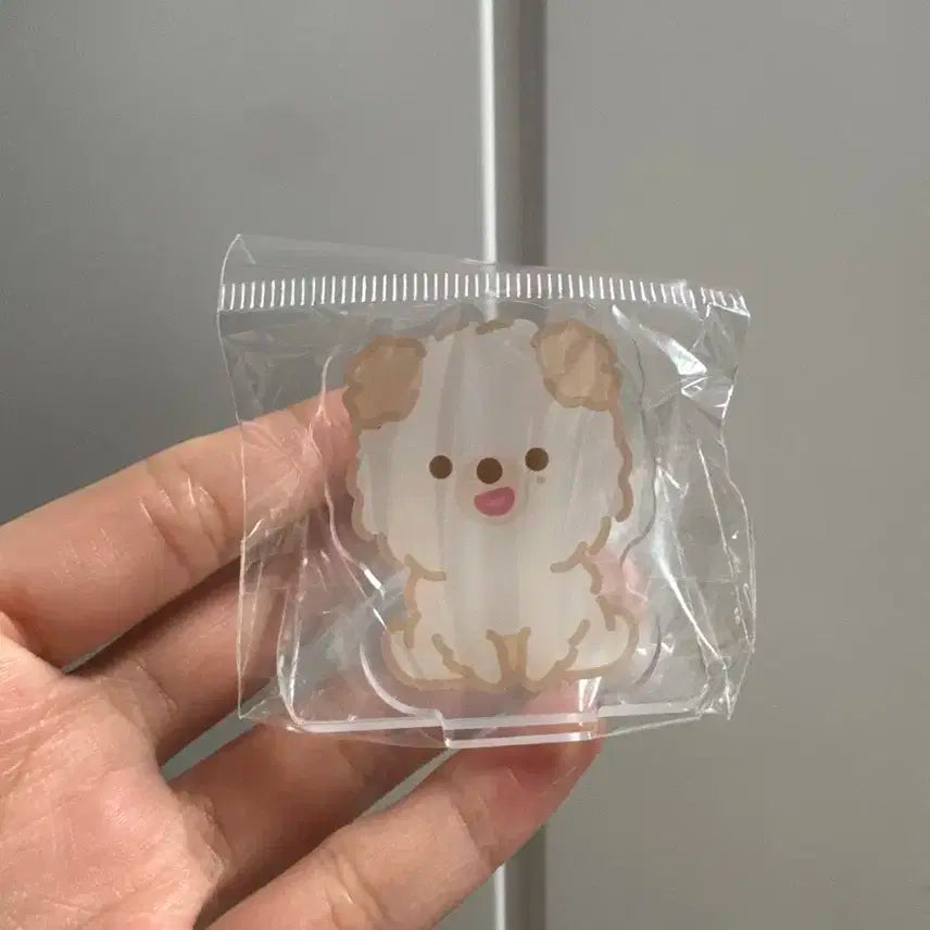 데이식스 집 팝업 아크릴 돈 day6 zip