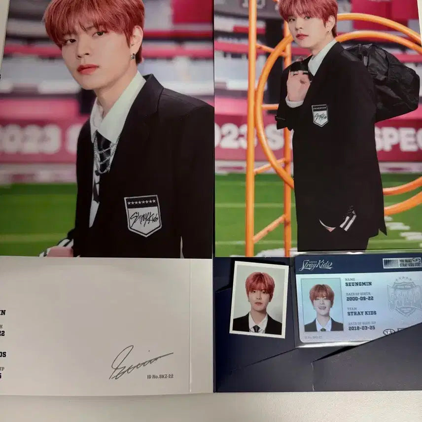 스키즈 방찬 리노 창빈 현진 한 필릭스 승민 아이엔 포카 파이브스타 프로