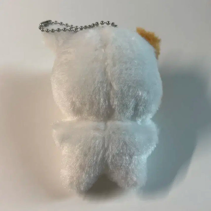 엔시티 지성 인형 포켓찌