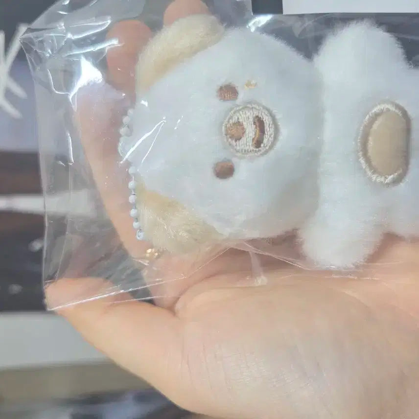 데이식스 쁘쁘멀 돈 새상품