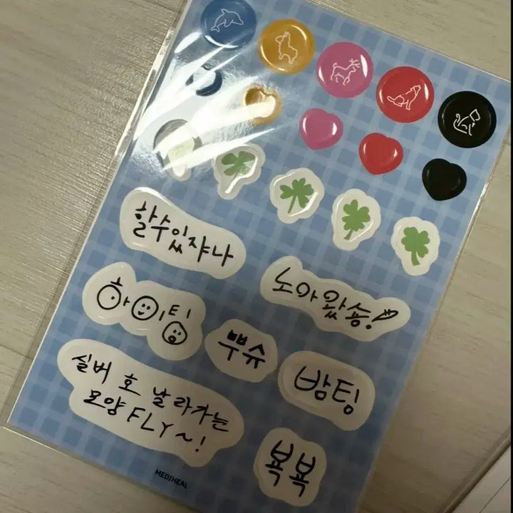 플레이브 메디힐 1차 노아 포카 스티커 양도