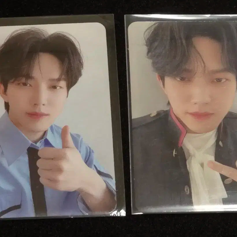 데이식스 도운 데몬 포카 일괄