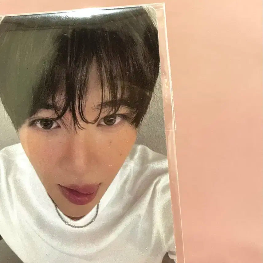 엔시티위시 컬러 위버스 라이브 미공포 특전 시온 미개봉 포카 판매