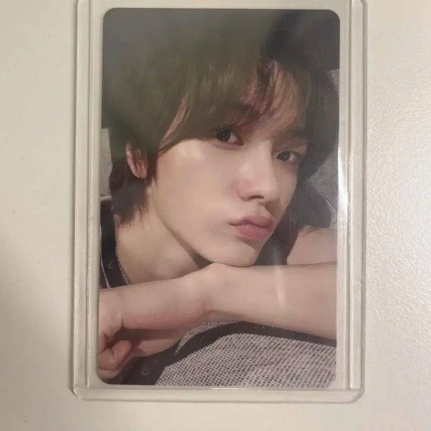 보이넥스트도어 성호 19.99 카카오톡 선물하기 포카