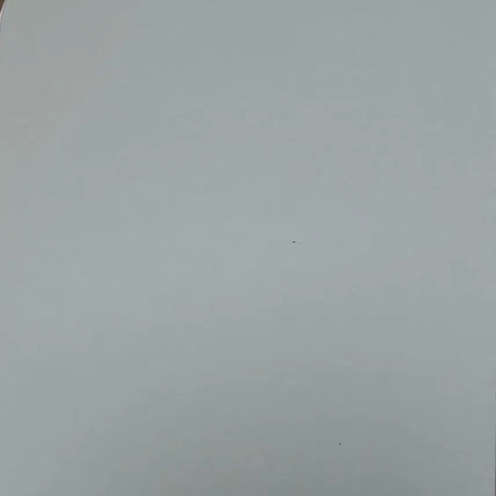 엔시티 드림 2024 시그