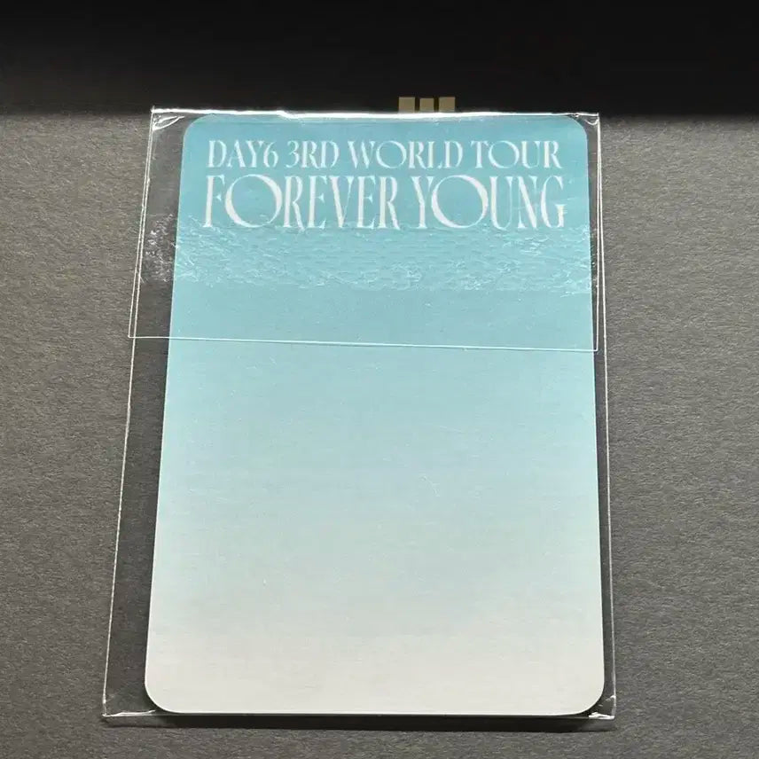 데이식스 영케이 포에버영 4만원 포카