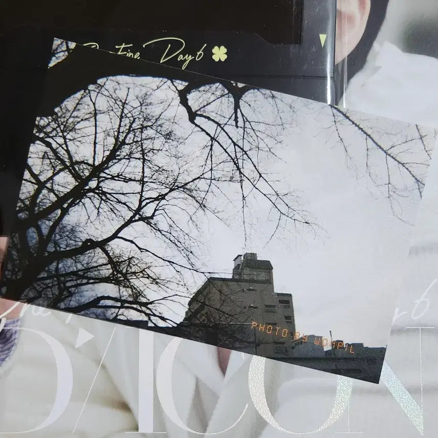 데이식스 디아이콘 원필 포스트카드