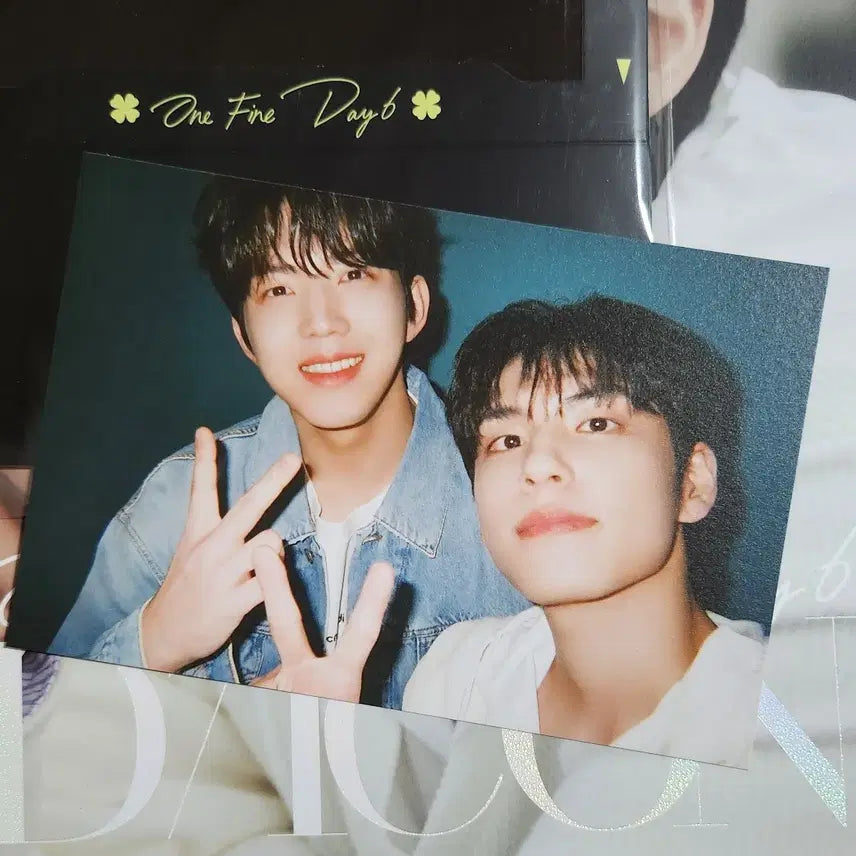 데이식스 디아이콘 원필 포스트카드