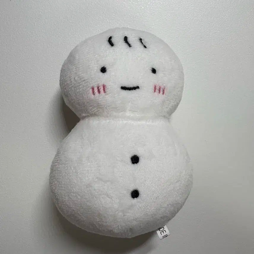 보이넥스트도어 보넥도 운학 인형 운돌이 양도