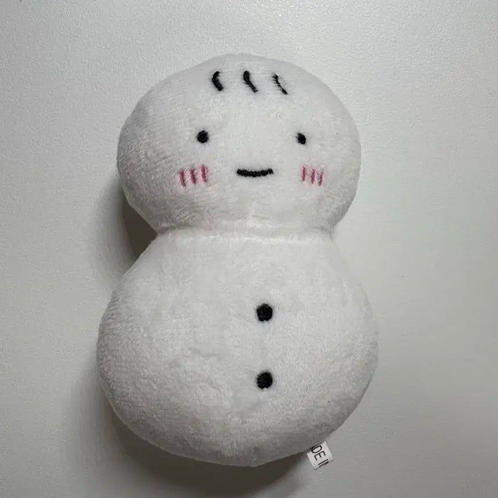 보이넥스트도어 보넥도 운학 인형 운돌이 양도